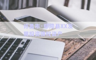 許昌市·鄢陵縣XX發(fā)展投資債權資產