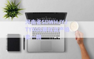 河南省SDWHJYJTYXGS債權資產(chǎn)拍賣一期 河南省SDWHJYJTYXGS債權資產(chǎn)拍賣一期