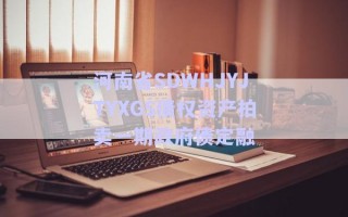 河南省SDWHJYJTYXGS債權(quán)資產(chǎn)拍賣一期政府債定融