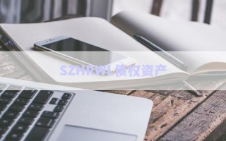 SZHRWL債權資產(chǎn)
