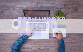 武陟縣城市建設(shè)投資開(kāi)發(fā)2025年債權(quán)項(xiàng)目政府債定融