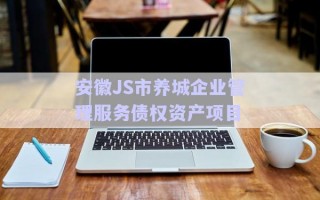 安徽JS市養(yǎng)城企業(yè)管理服務(wù)債權(quán)資產(chǎn)項目 安徽JS市養(yǎng)城企業(yè)管理服務(wù)債權(quán)資產(chǎn)項目