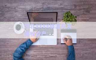 河北XXXX旅游開(kāi)發(fā)債權(quán)資產(chǎn)