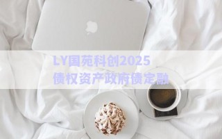 LY國(guó)苑科創(chuàng)2025債權(quán)資產(chǎn)政府債定融