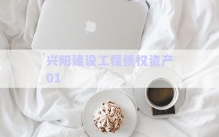 興陽建設(shè)工程債權(quán)資產(chǎn)01 興陽建設(shè)工程債權(quán)資產(chǎn)01