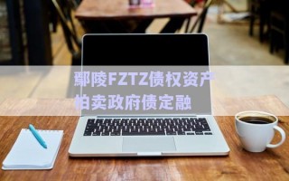 鄢陵FZTZ債權資產(chǎn)拍賣政府債定融