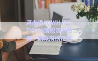 河南省SDWHJYJTYXGS債權資產(chǎn)拍賣一期政府債定融