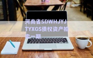 河南省SDWHJYJTYXGS債權(quán)資產(chǎn)拍賣一期 河南省SDWHJYJTYXGS債權(quán)資產(chǎn)拍賣一期