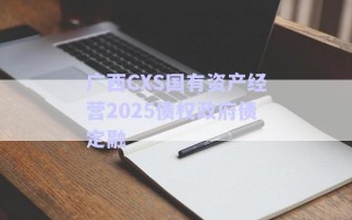 廣西CXS國有資產(chǎn)經(jīng)營2025債權(quán)政府債定融