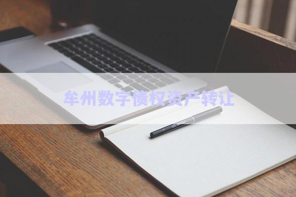 牟州數(shù)字債權資產轉讓-第1張圖片-政信固收網