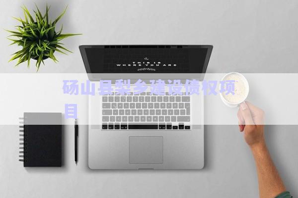 碭山縣梨鄉(xiāng)建設債權項目-第1張圖片-政信固收網
