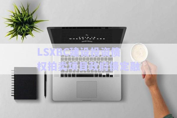 LSXBC建設(shè)投資債權(quán)拍賣(mài)項(xiàng)目政府債定融-第1張圖片-政信固收網(wǎng)