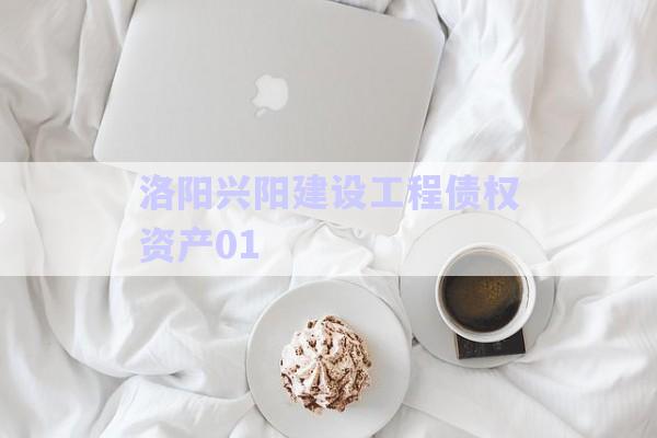 洛陽(yáng)興陽(yáng)建設(shè)工程債權(quán)資產(chǎn)01-第1張圖片-政信固收網(wǎng)